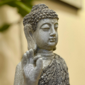 Meditation Courses